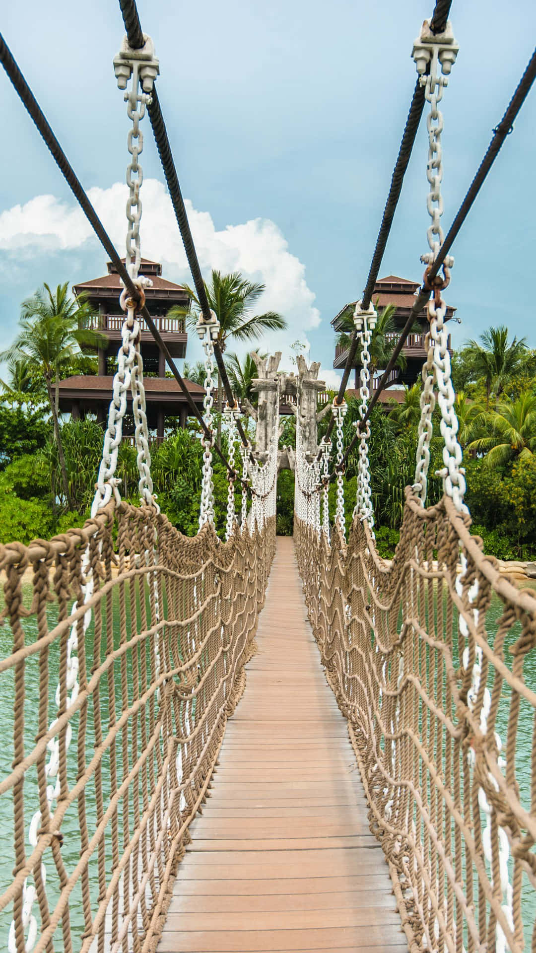 Download Sentosa Island Suspension Bridge Wallpaper | Wallpapers.com