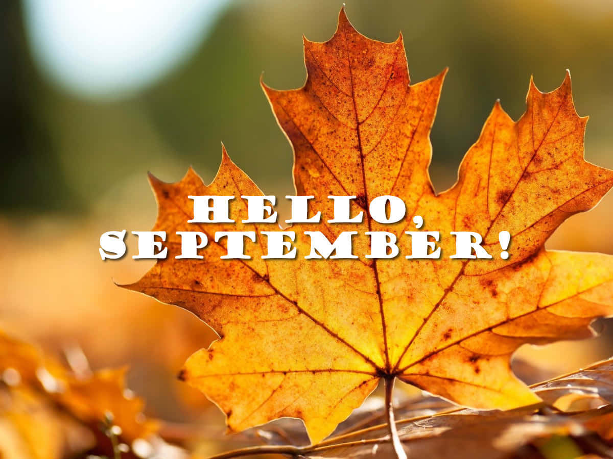 Celebrate the arrival of September