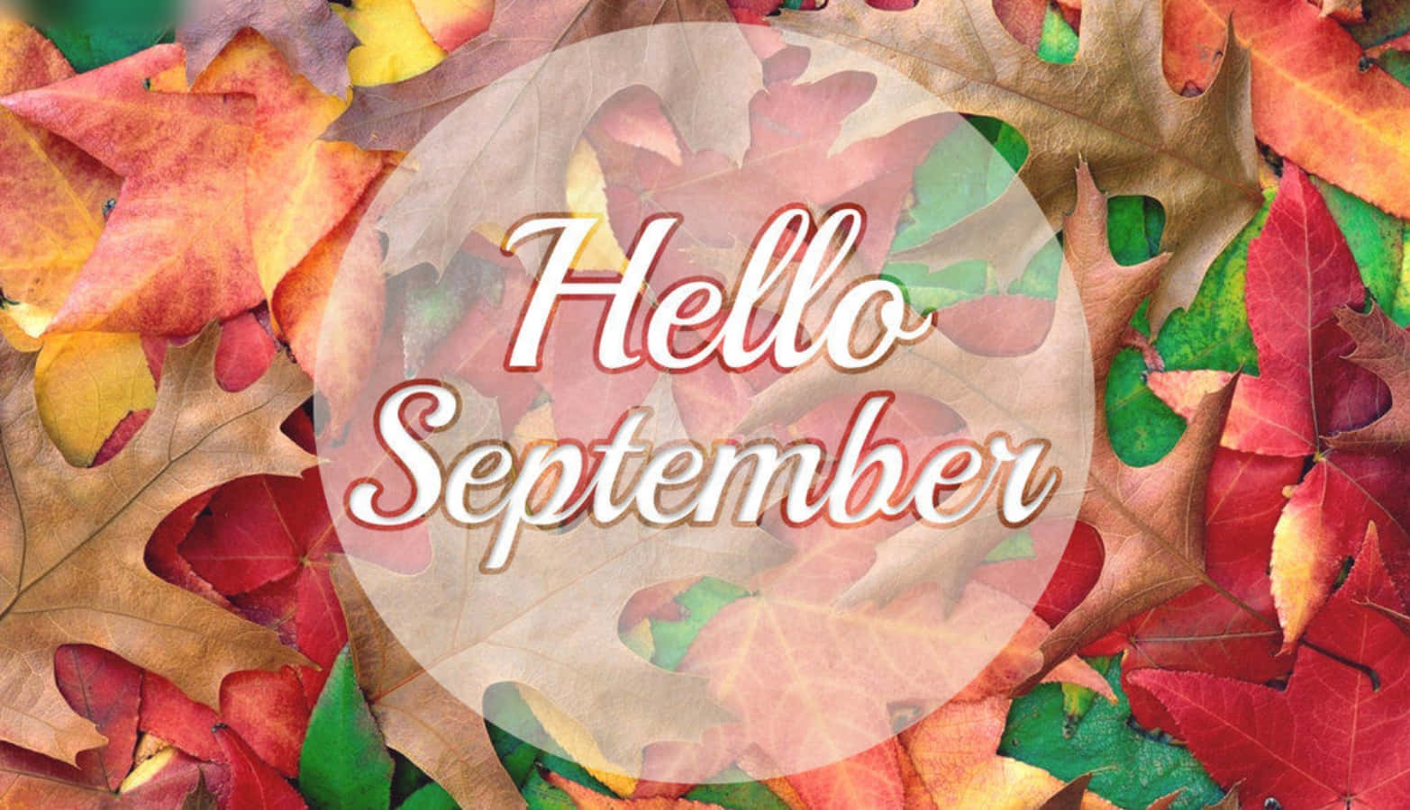 Start a New Chapter in the Autumn Months
