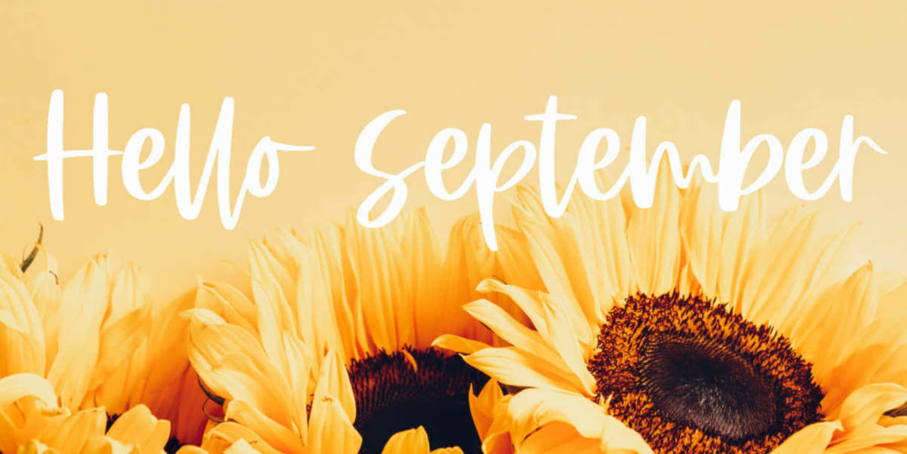 Welcome September, Enjoy the Charming weather