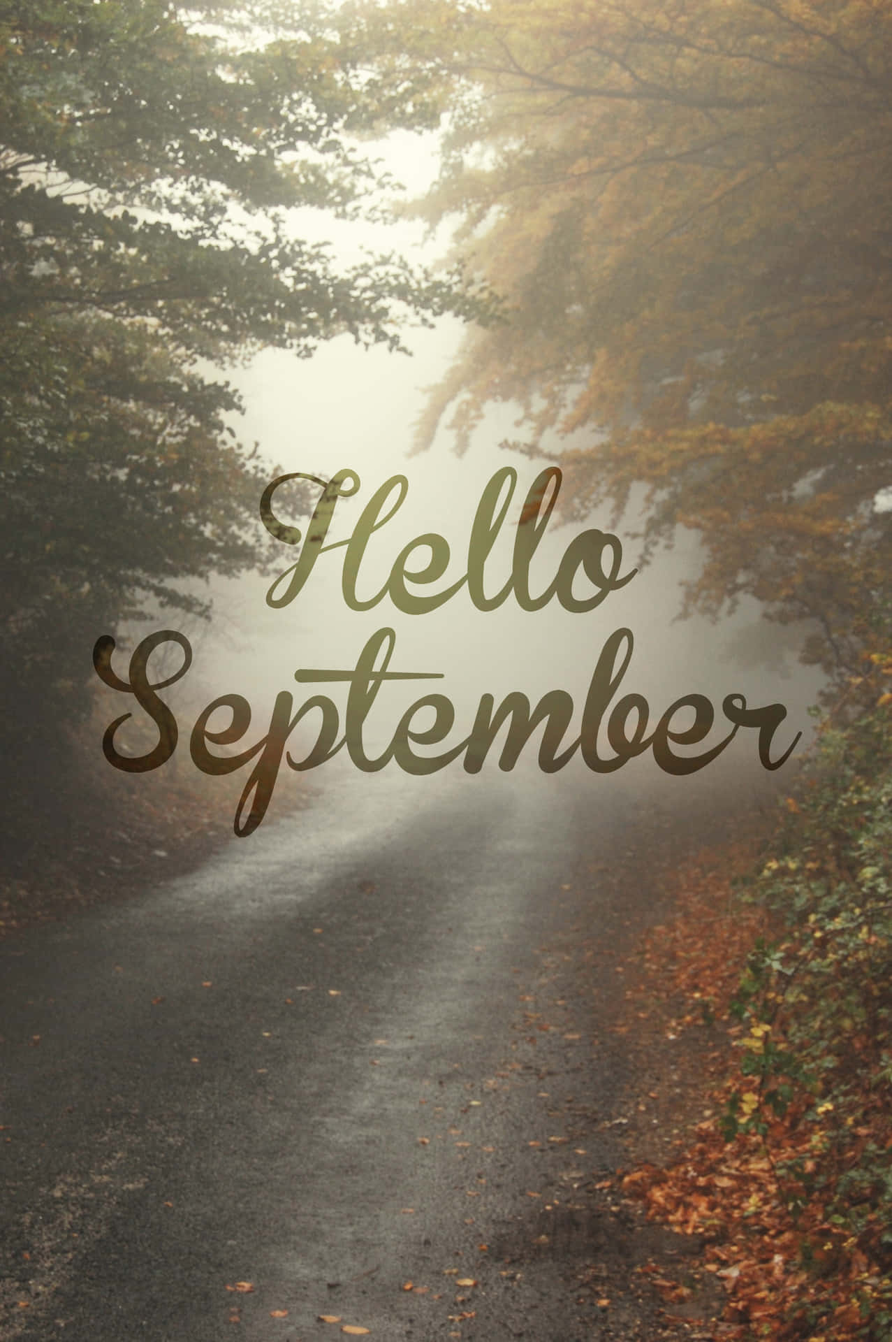 Make the Most of Every Moment of September