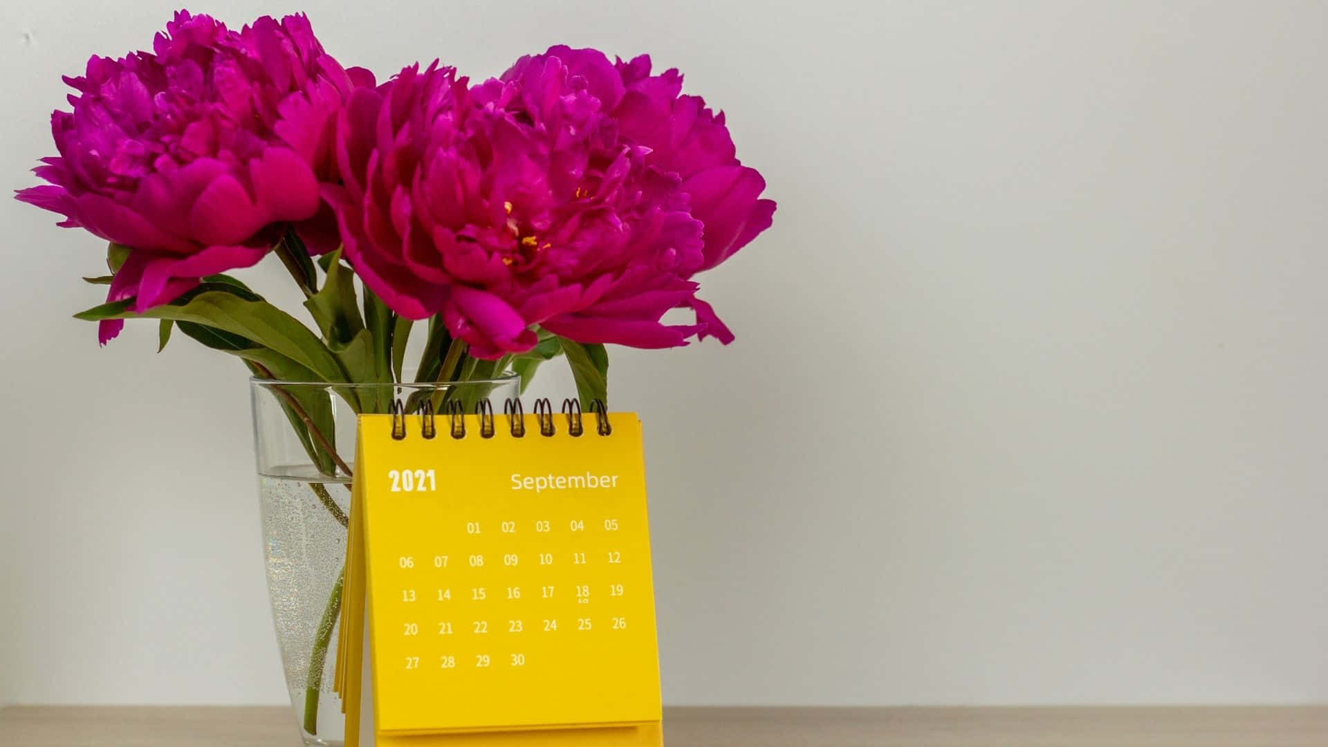 Et kalender med blomster i en vase Wallpaper