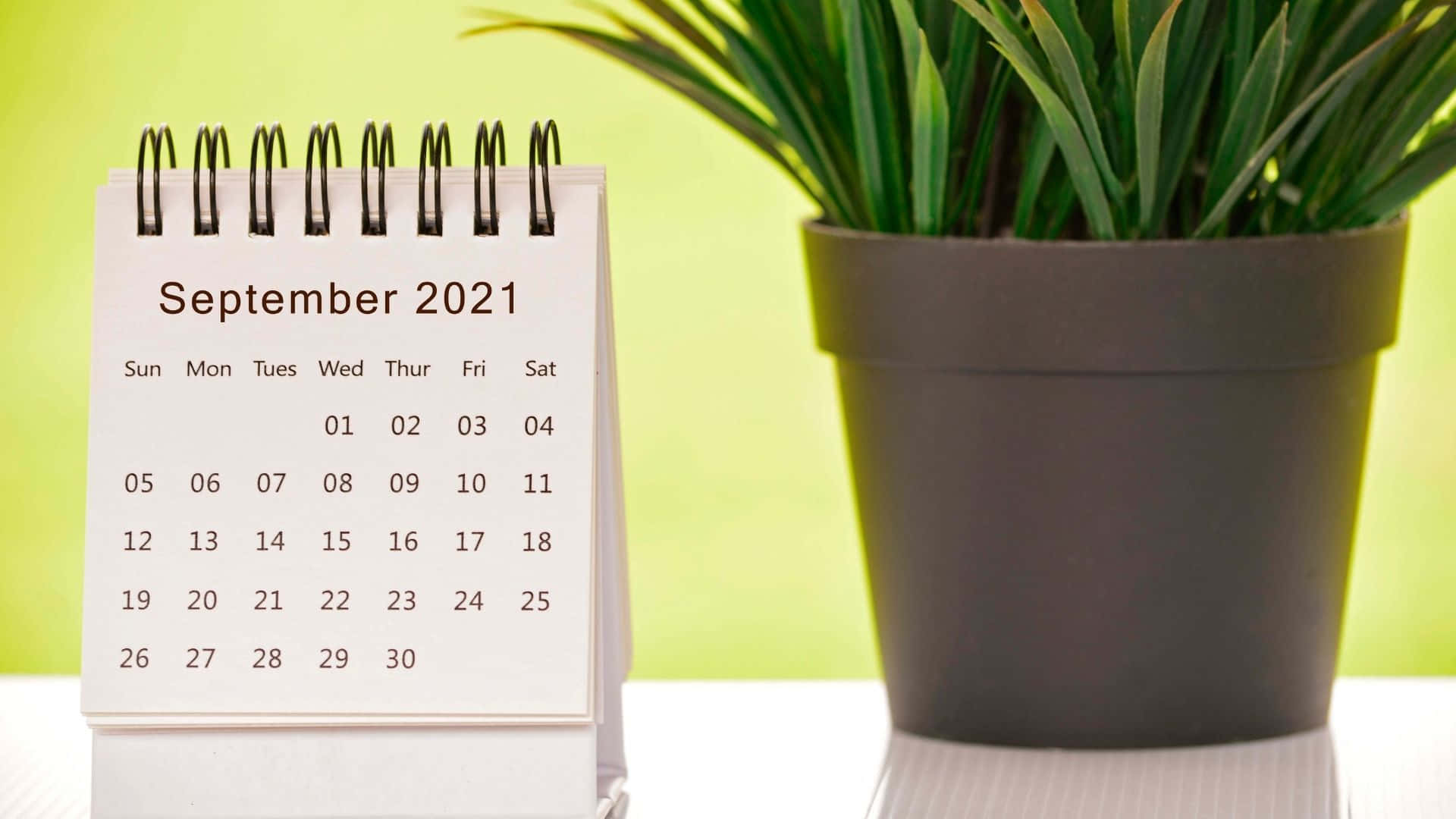 Et kalender med ordet september 2020 på det. Wallpaper