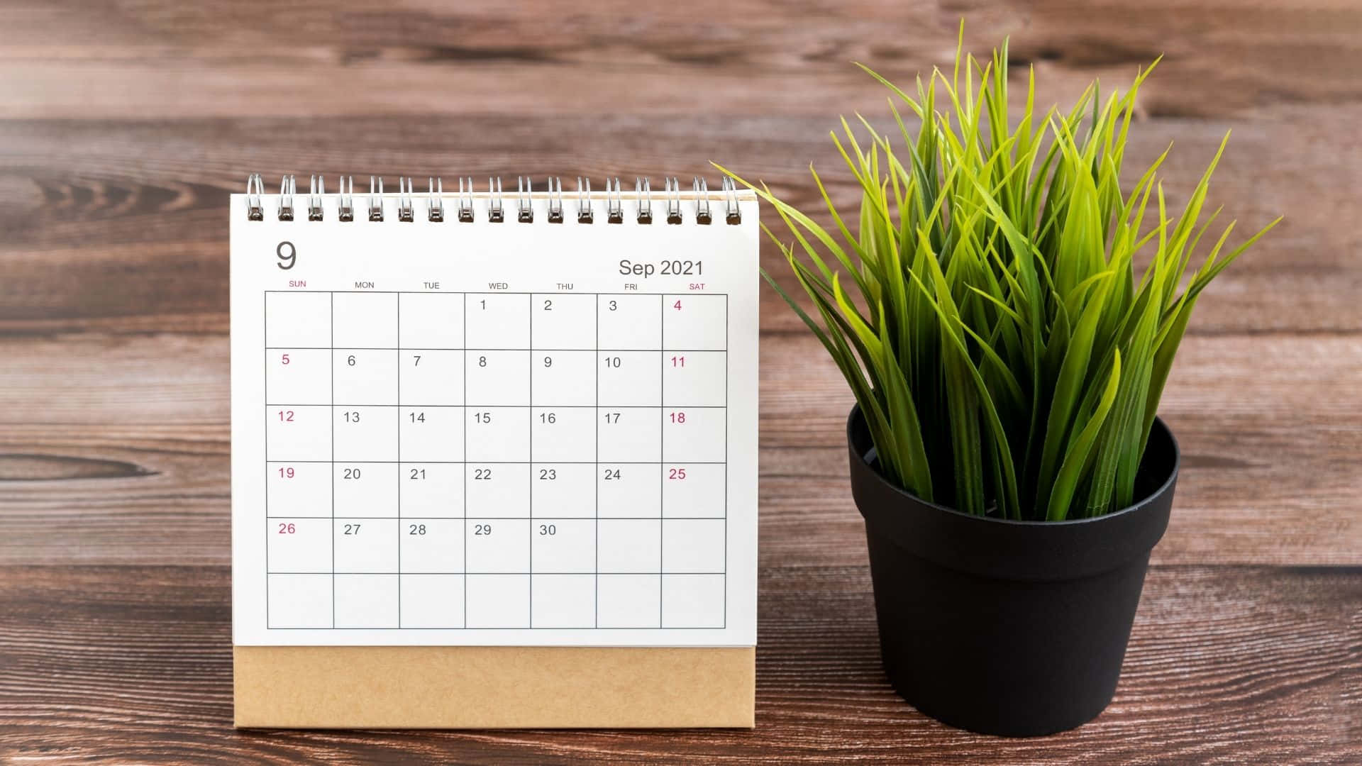 En kalender med en plante på et træbord. Wallpaper