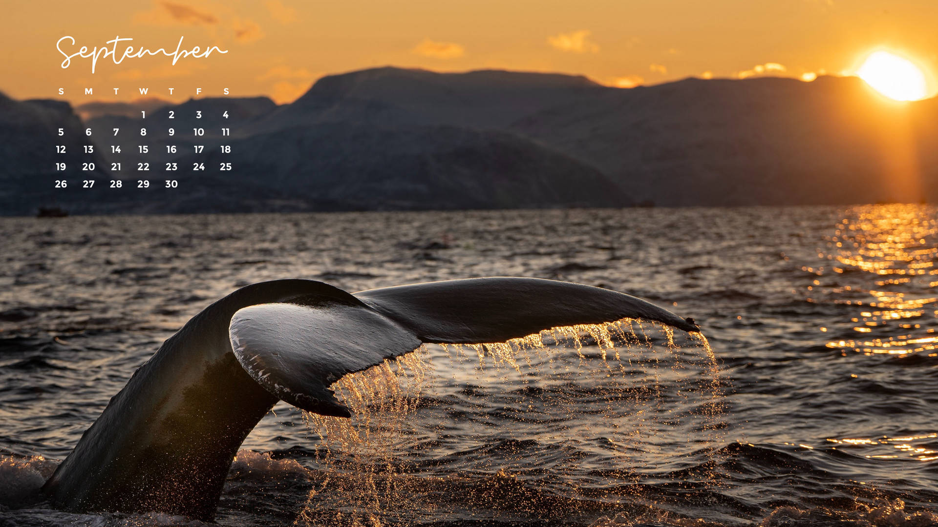 September 2021 Sunset Dolphin Calendar