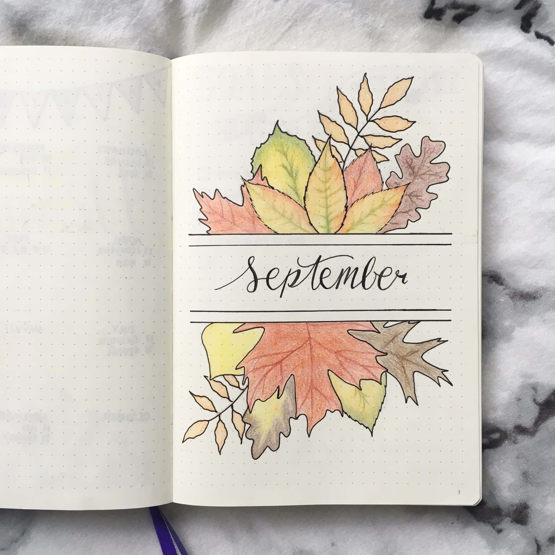 Enjoy the Colorful Splendor of the September Season