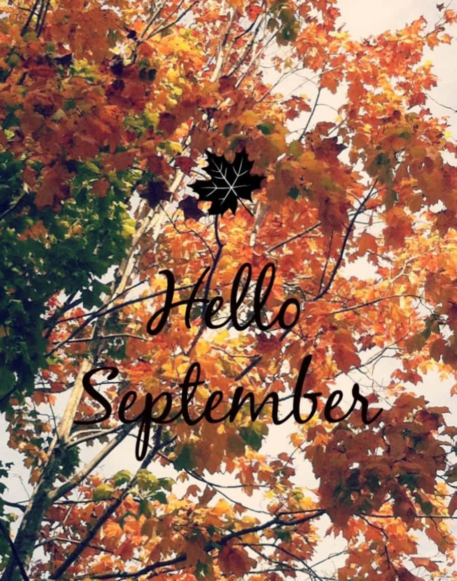Celebrate the Last of Summer with September