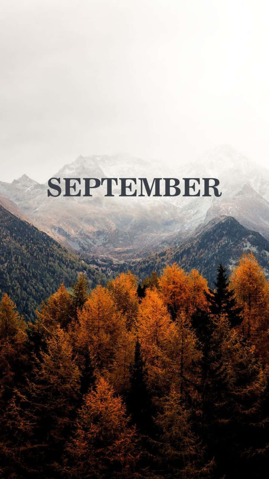 Freuedich An Der Schönheit Des Septembers