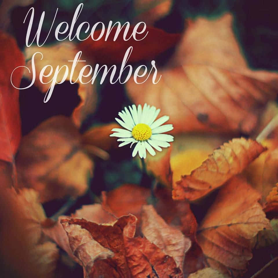 “Welcome the fresh start of autumn with September”