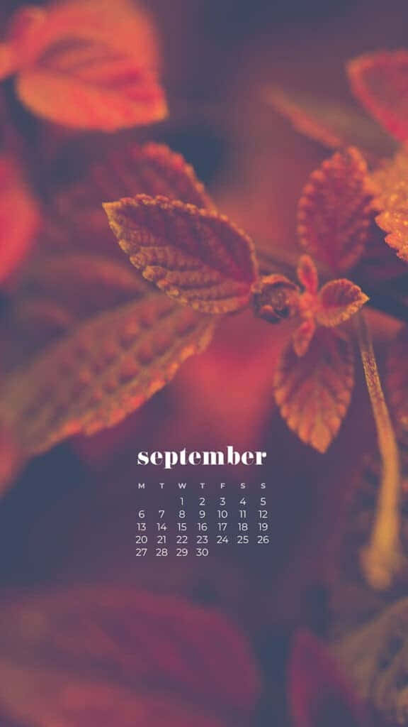 September Herfstbladeren Kalender Wallpaper Achtergrond