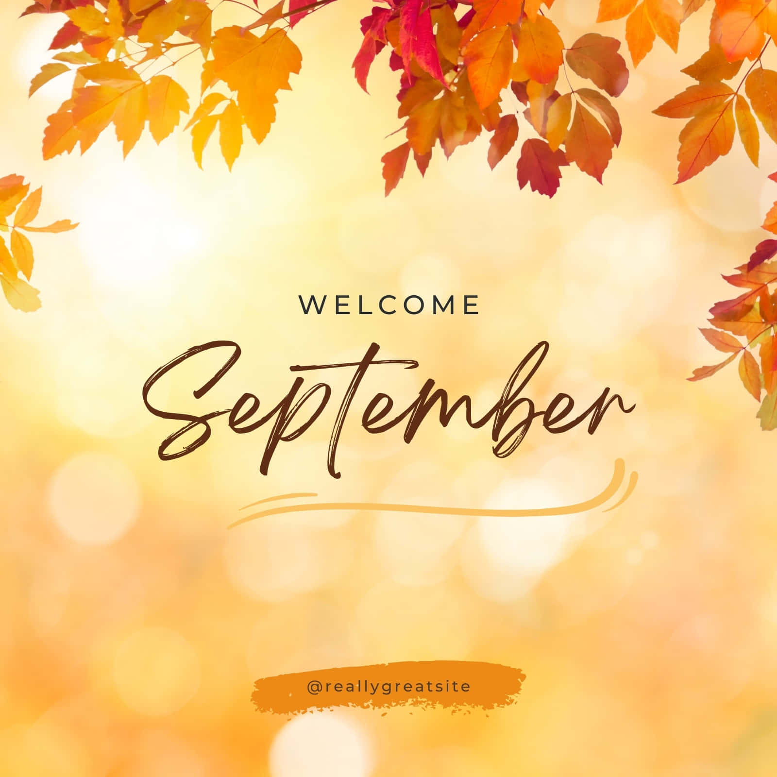 Celebrate the changing of the season with September!