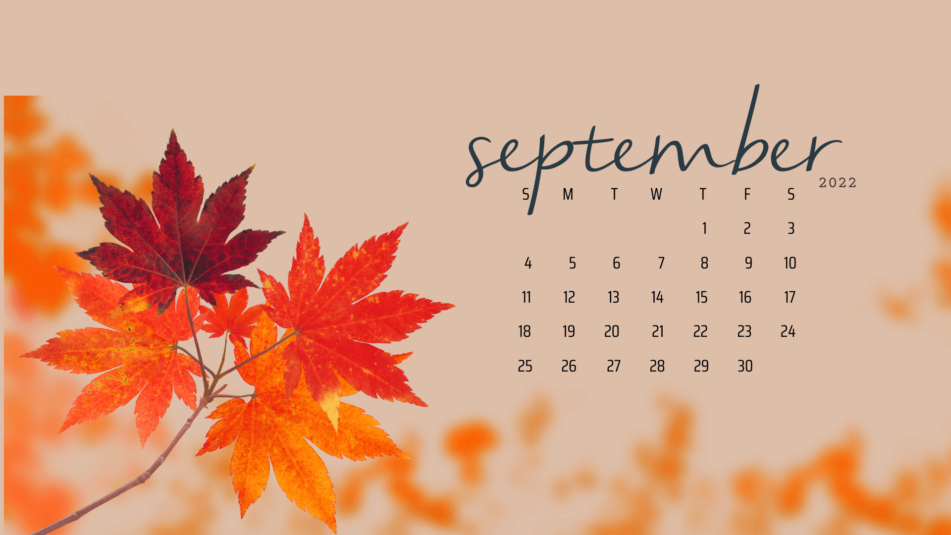 Календарь сентября показать. Календарь на рабочий стол. Заставка на рабочий стол календарь. Календарь сентябрь. Сентябрь 2022.