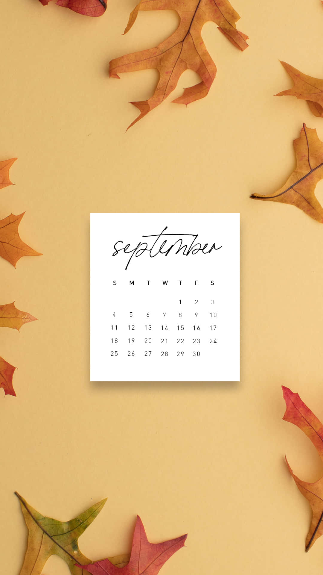 September Kalender Herfstbladeren Achtergrond Achtergrond