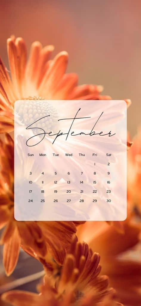 September Kalender Bloemen Achtergrond Achtergrond