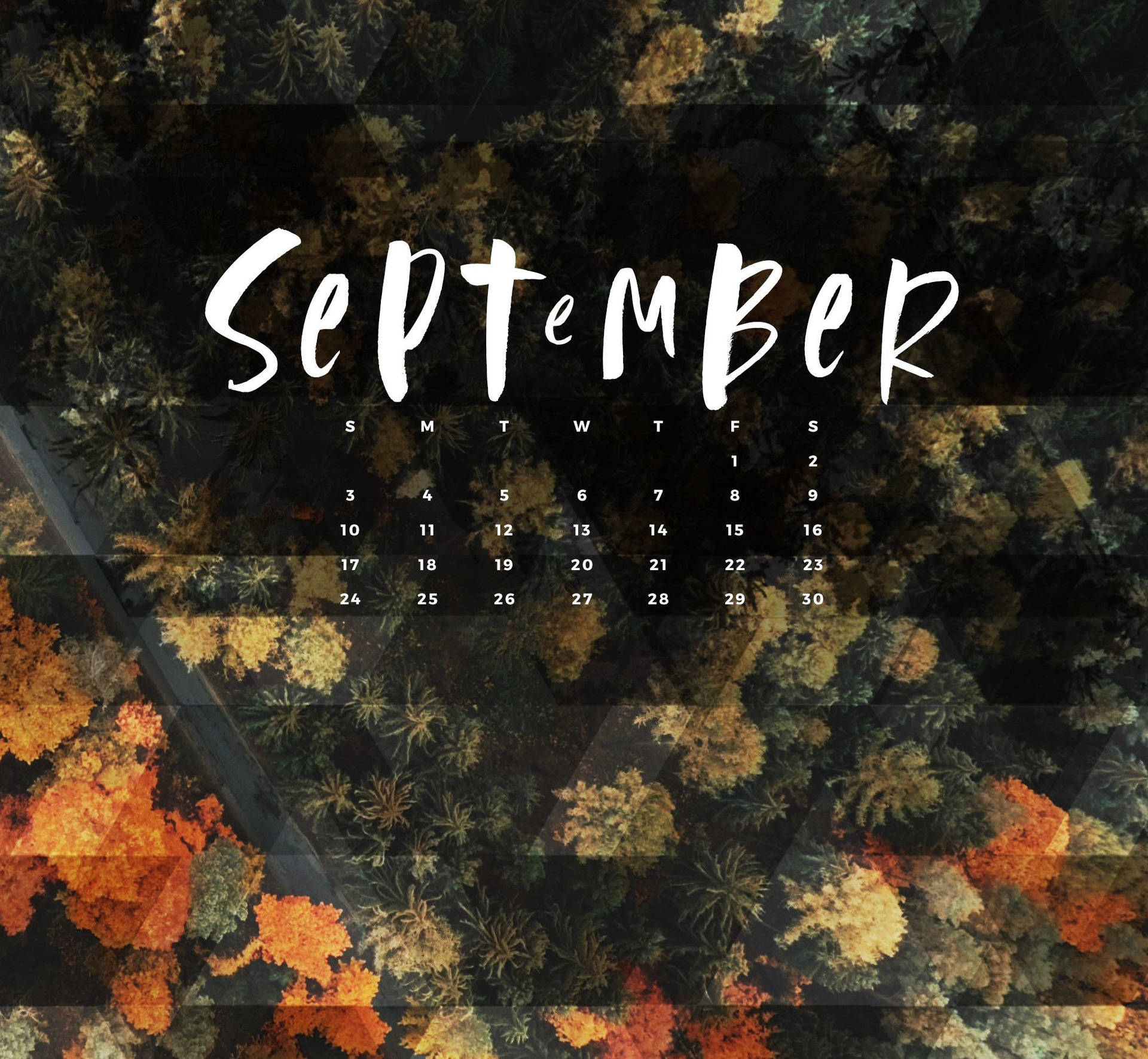 A calendar and lush trees to mark the beginning of September. Wallpaper