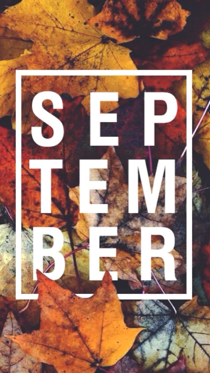 September Fall Leaves Aesthetic Wallpaper