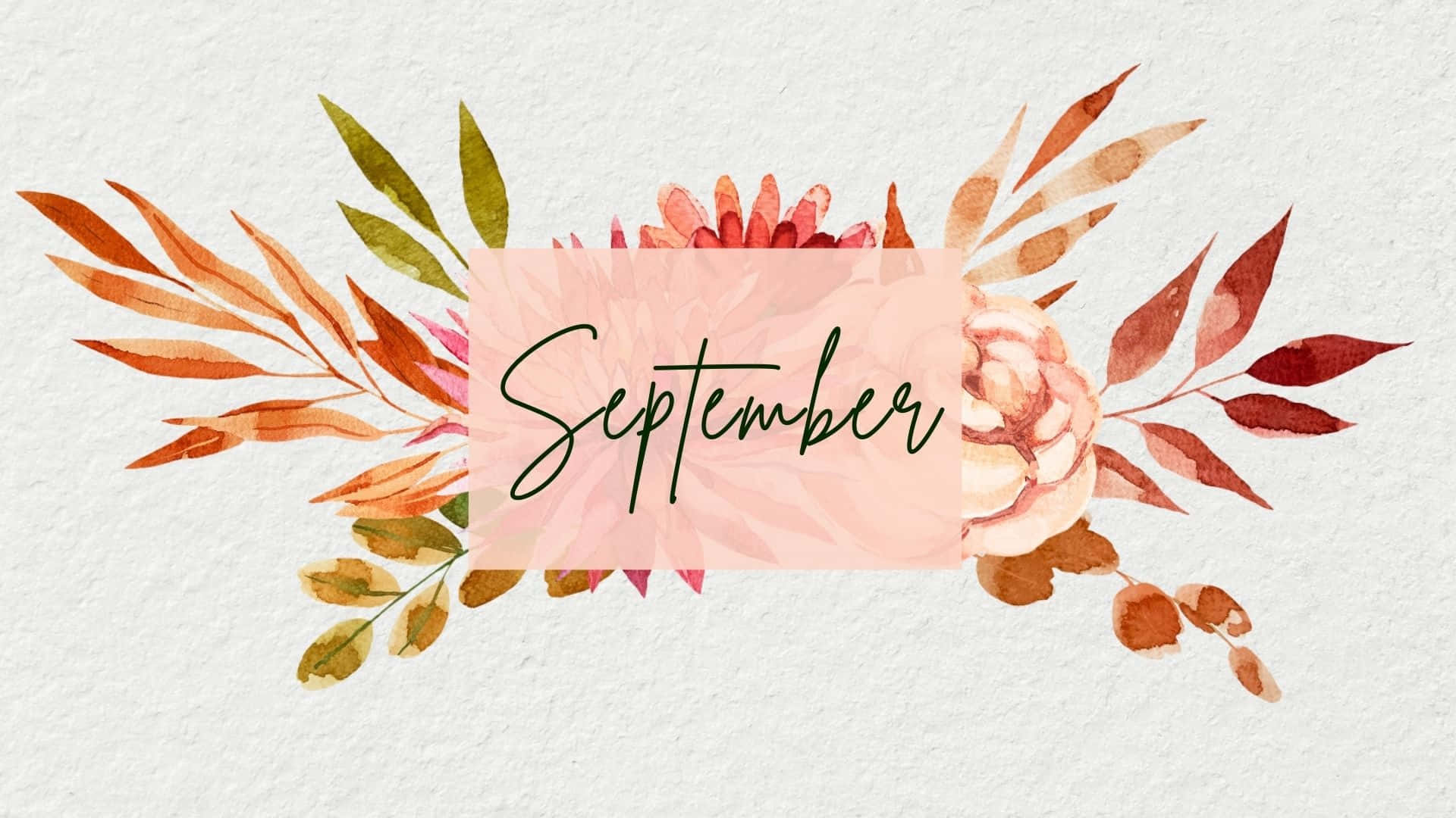 September Floral Desktop Background Wallpaper