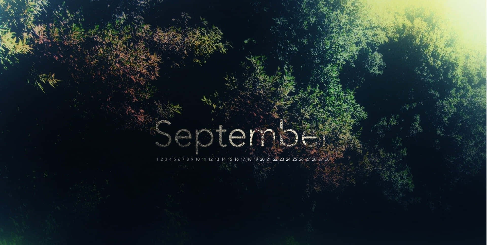 September Forest Calendar Aesthetic Wallpaper