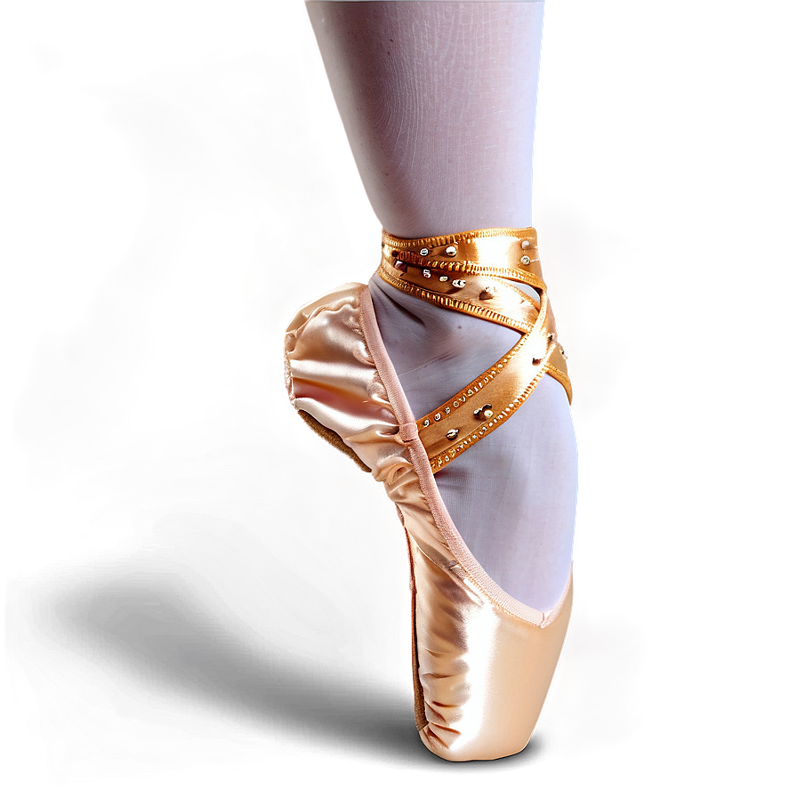 Sequin Pointe Shoes Png Ova PNG