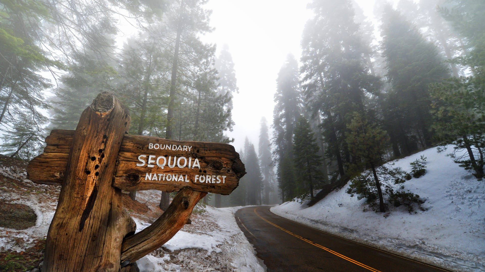 Sequoia National Park Sign Wallpaper