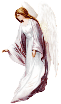 Serene Angel Illustration PNG