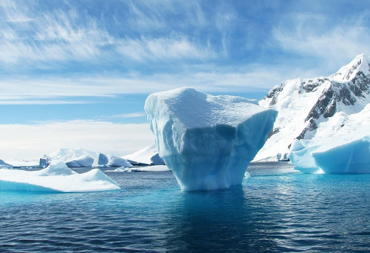 Serene Antarctic Icebergs Wallpaper