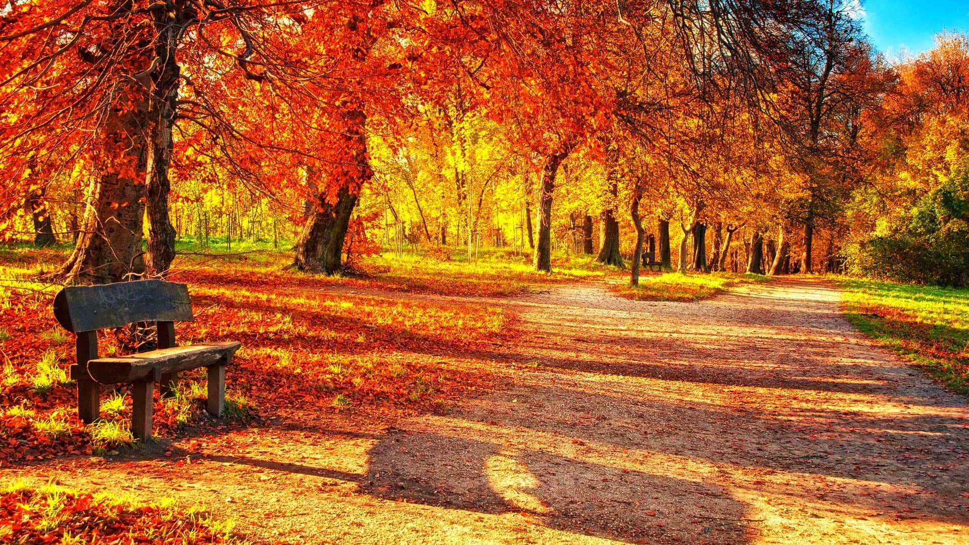 Serene Autumn Landscape