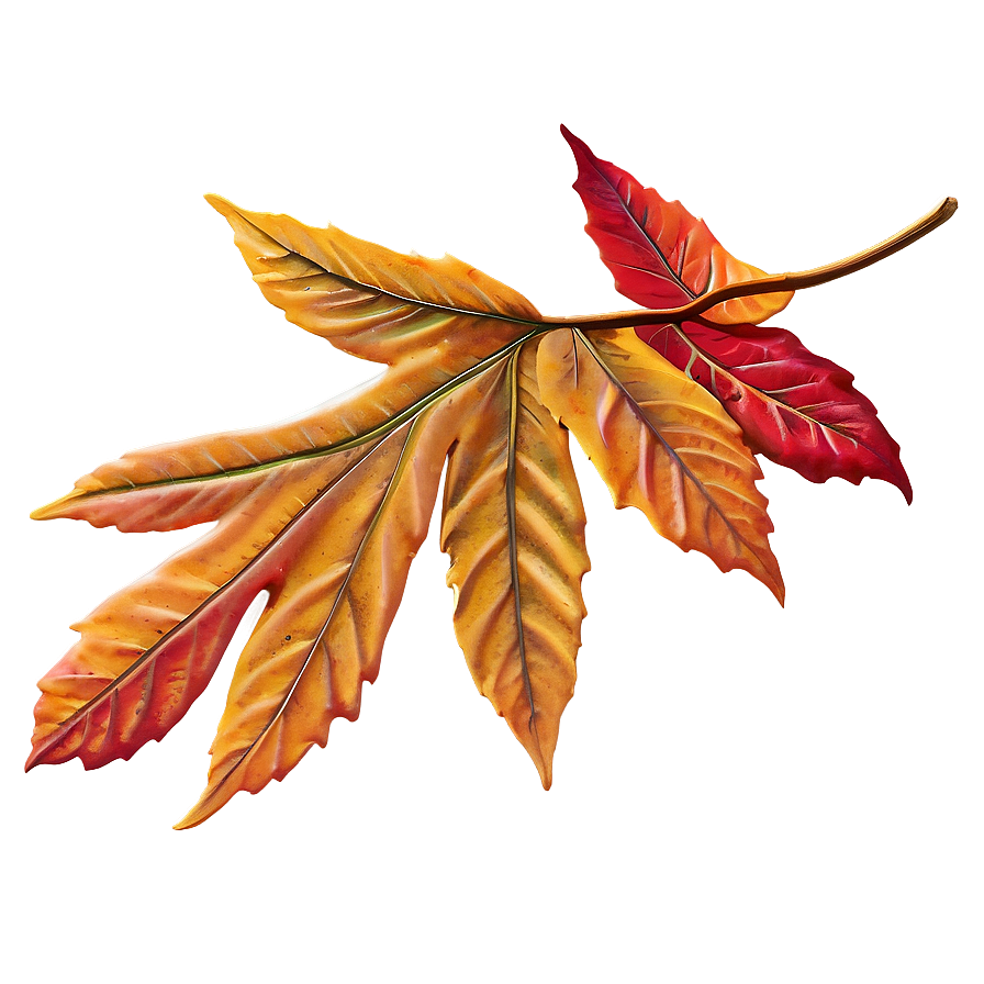 Serene Autumn Leaf Png 06202024 PNG