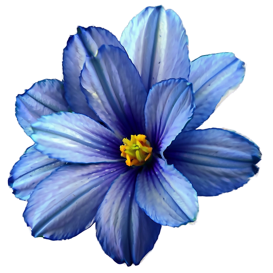 Download Serene Blue Flower Png 90 | Wallpapers.com