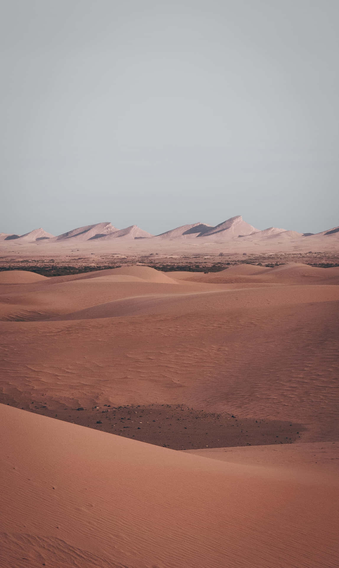 Serene_ Desert_ Dunes_at_ Twilight Wallpaper