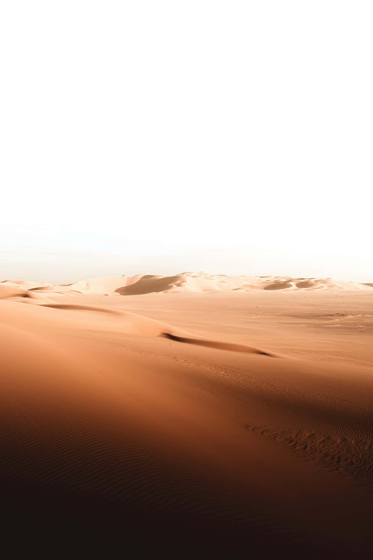 Serene Desert Dunes Sunset Wallpaper