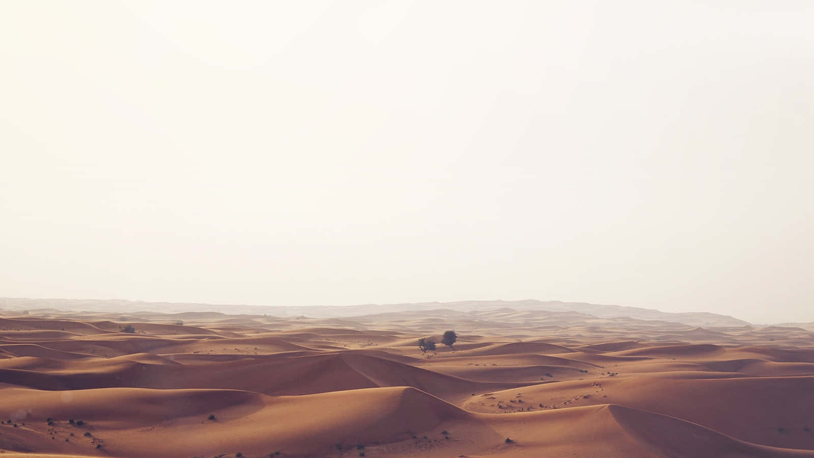 Serene Desert Solitude.jpg Wallpaper