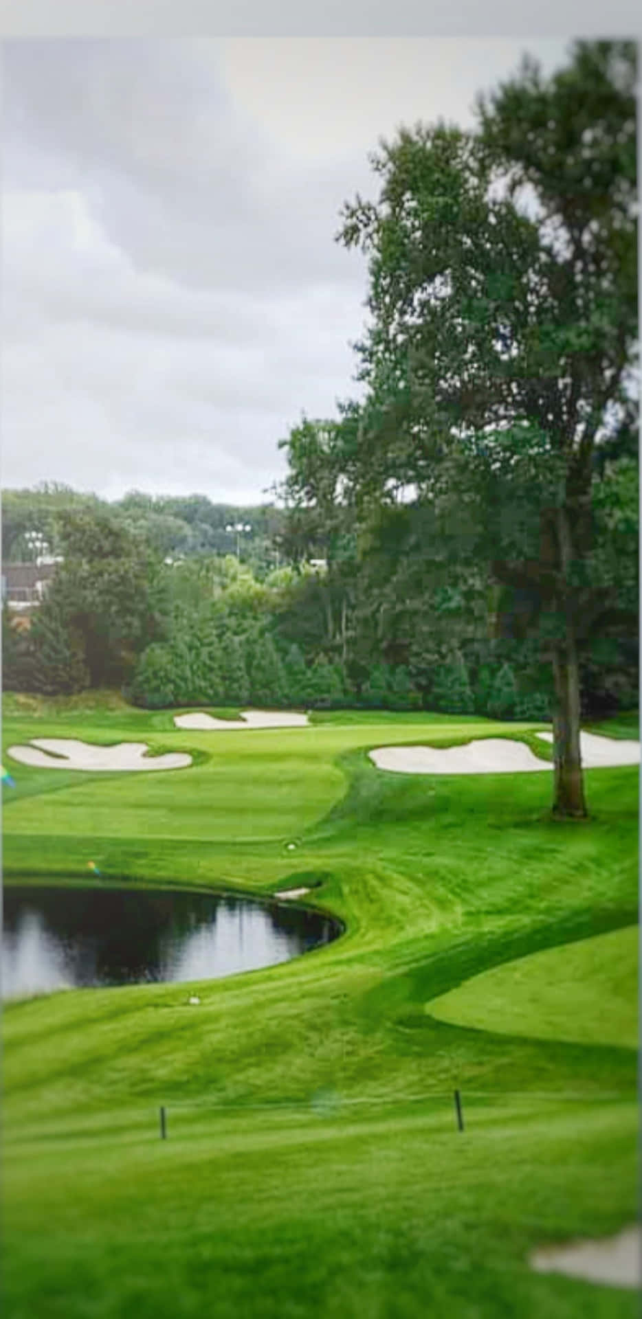 Serene Fairway Landscape At Dusk