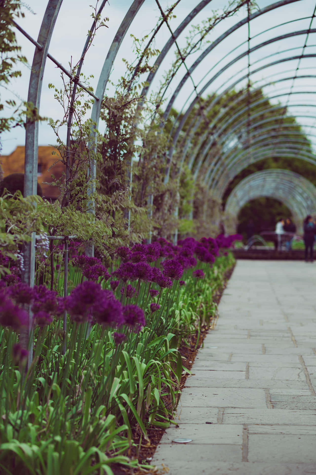 Serene Garden Escape