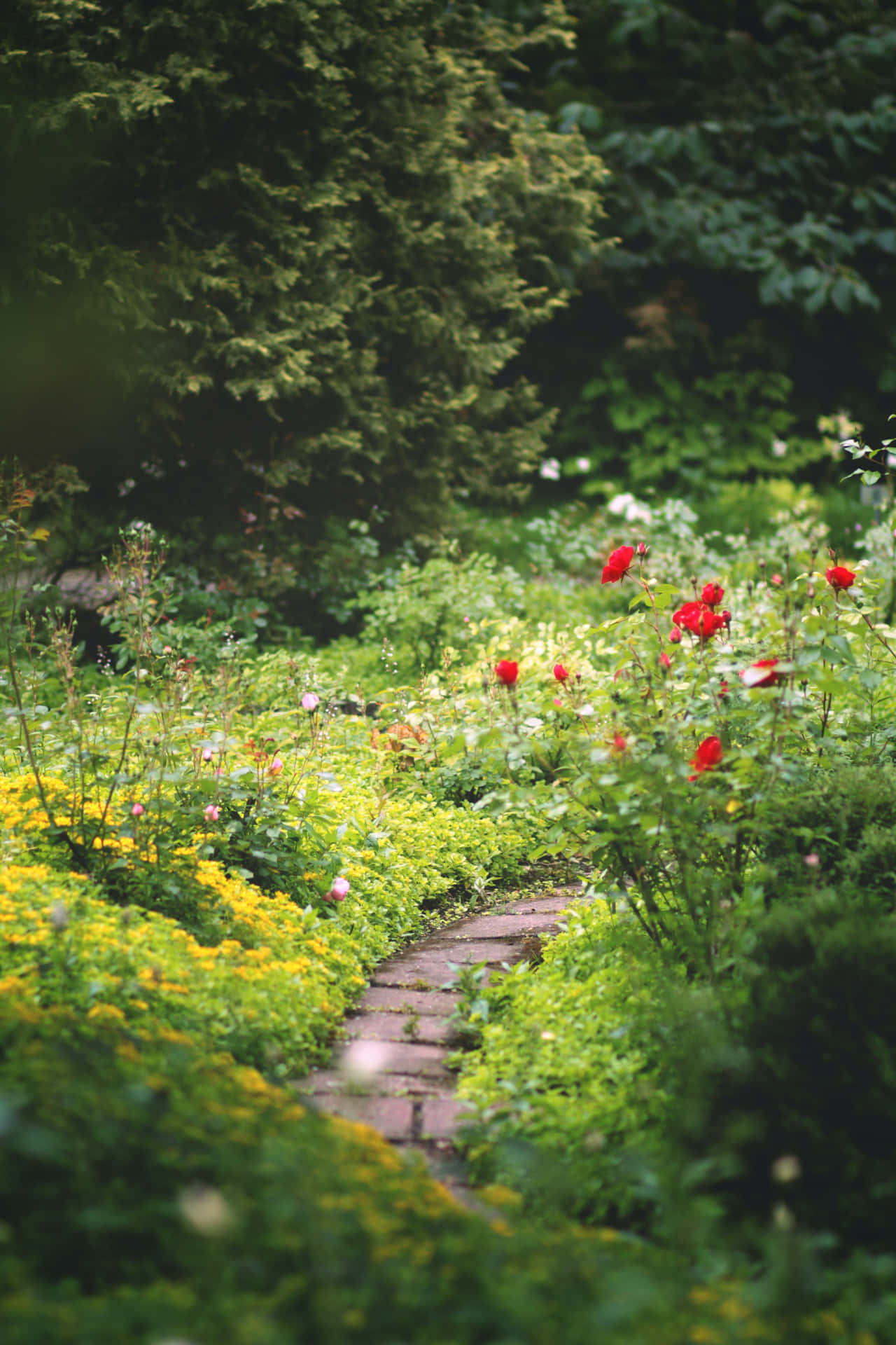 Serene Garden Oasis