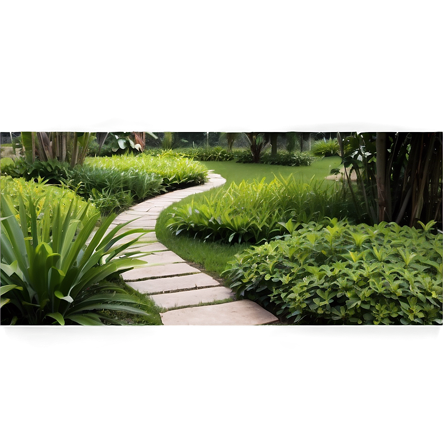 Serene Garden Trail Png 3 PNG