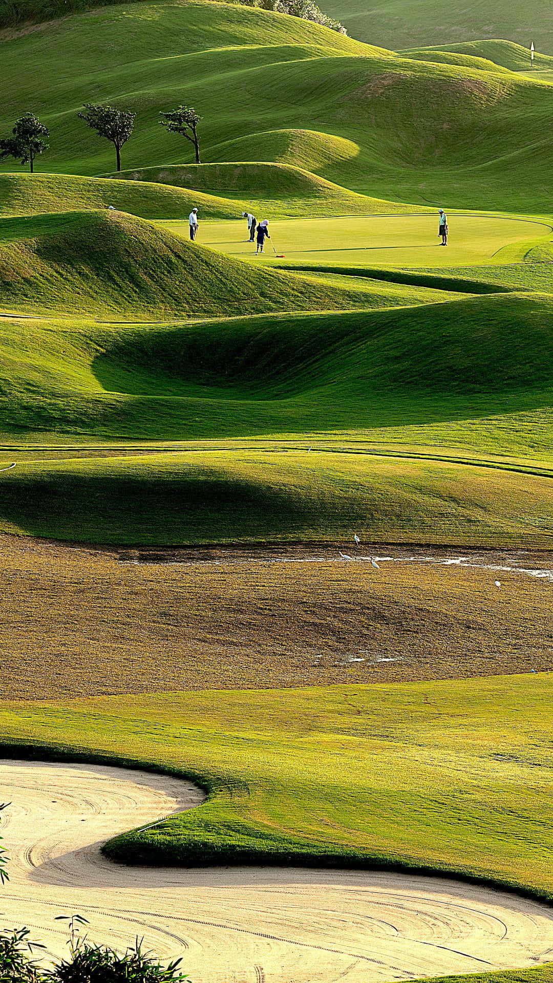 Serene Golf Course At Dusk