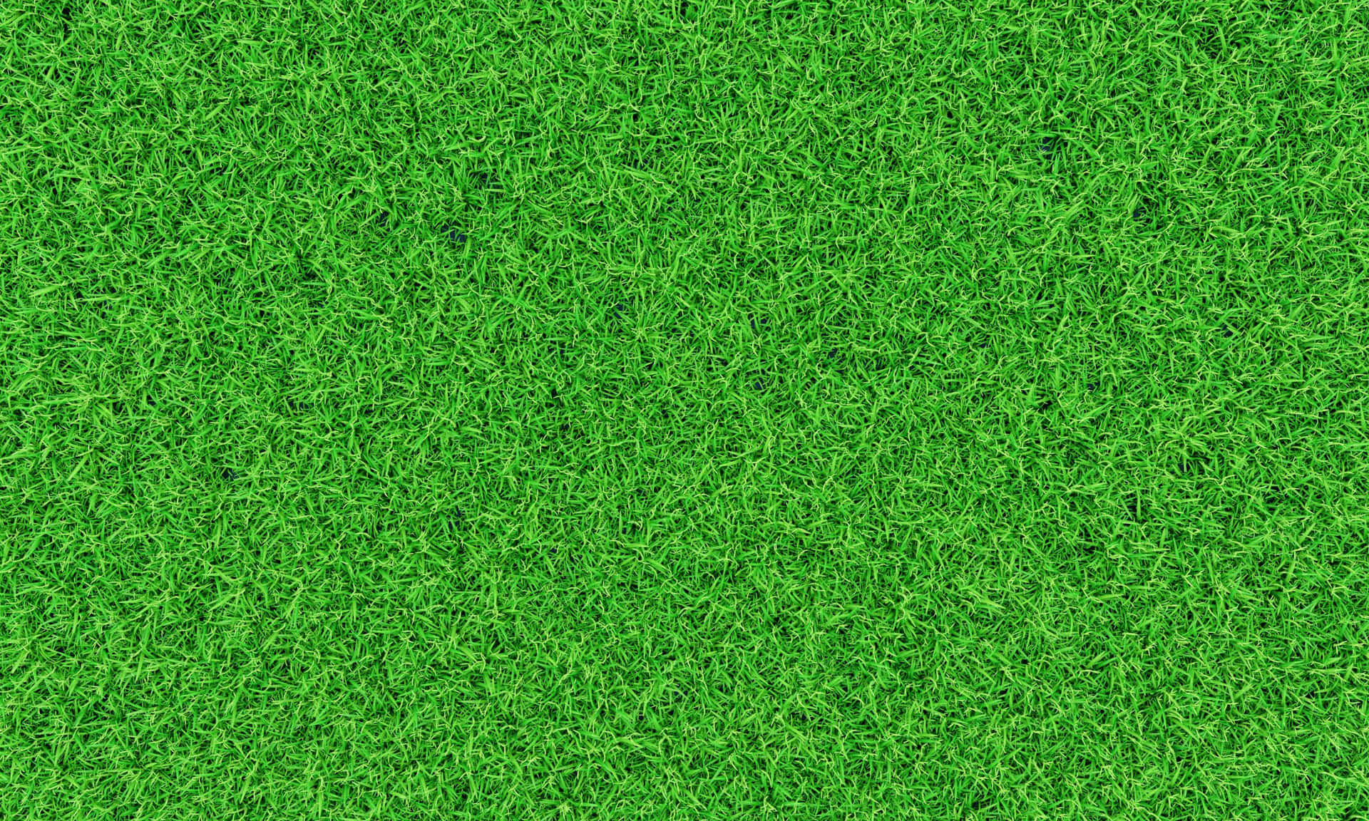 Serene Green Grass Scene Wallpaper