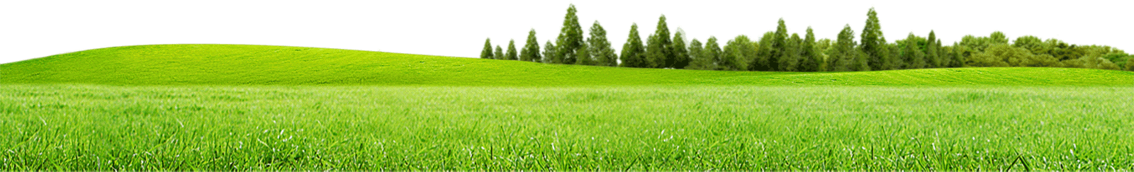 Serene Green Meadow Panorama PNG