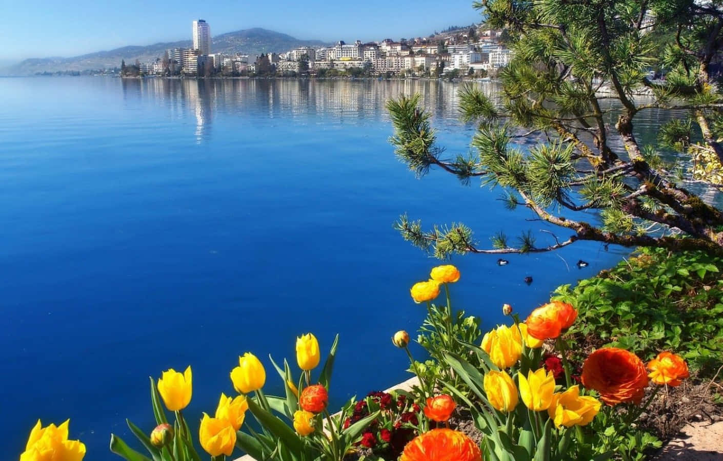 Serene Lake Geneva With Mountain Backdrop At Montreux Wallpaper