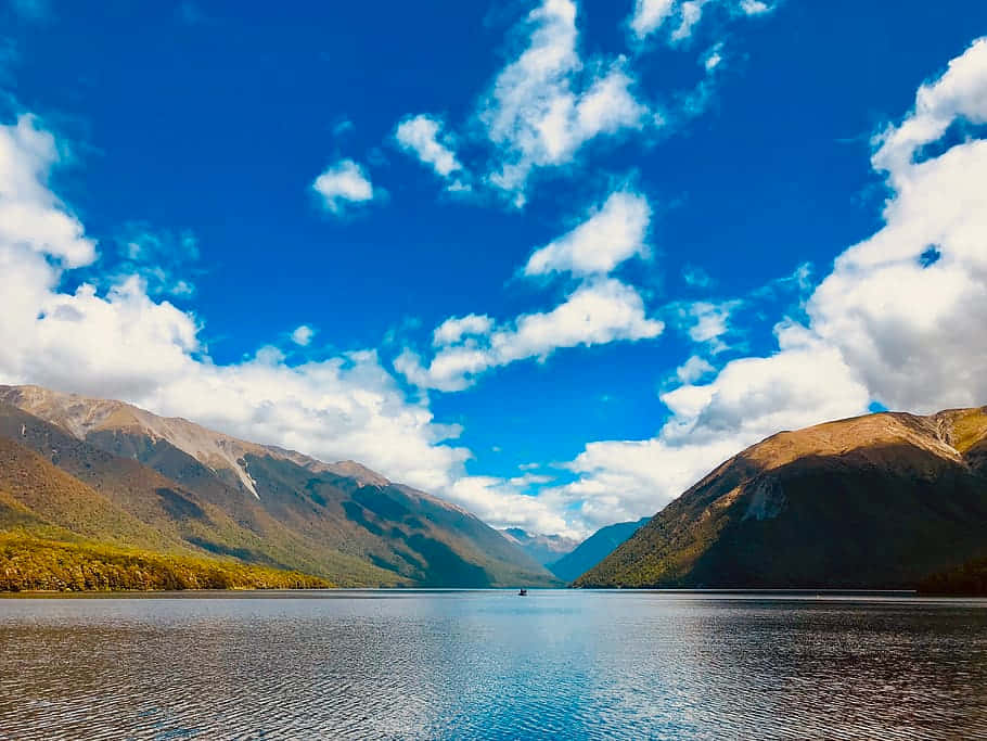 Serene_ Lake_ Mountain_ View_ New_ Zealand Wallpaper