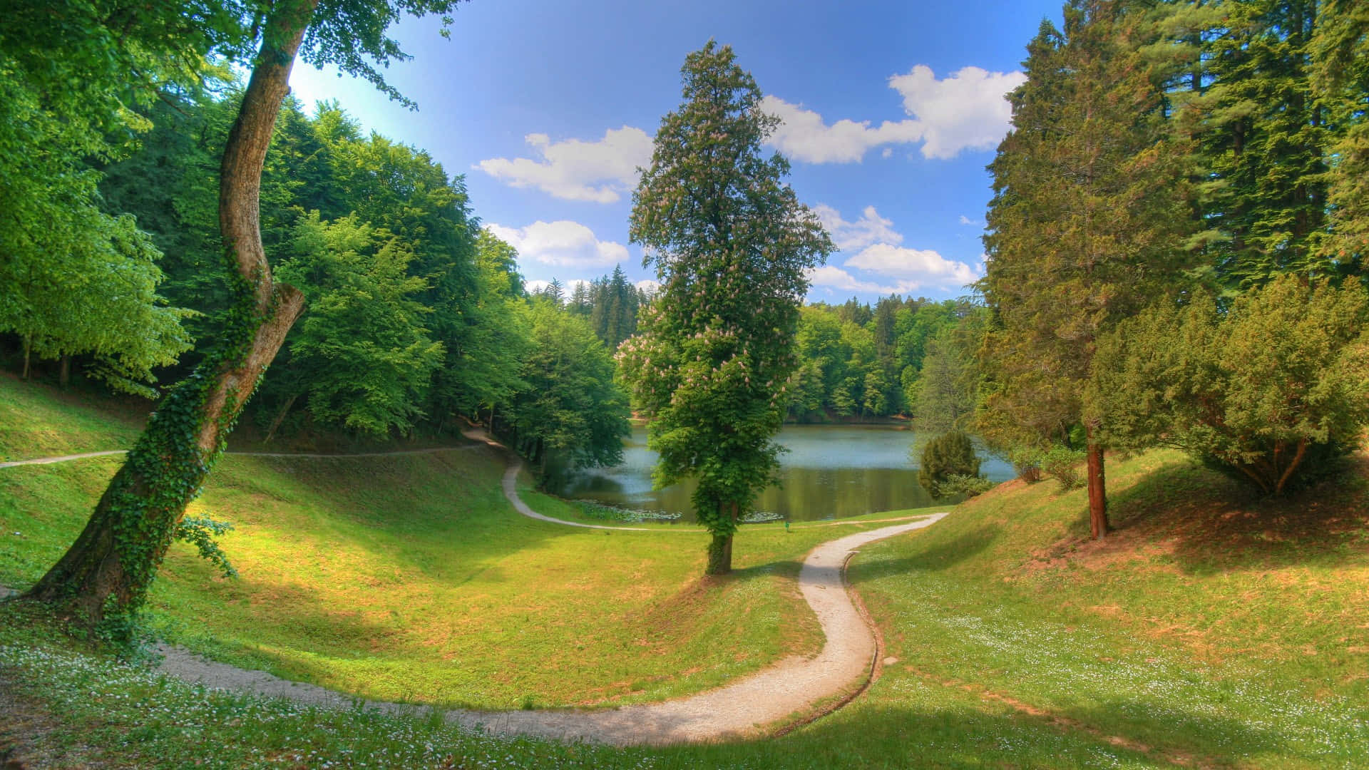 Serene Lake Pathway H D Landscape Wallpaper