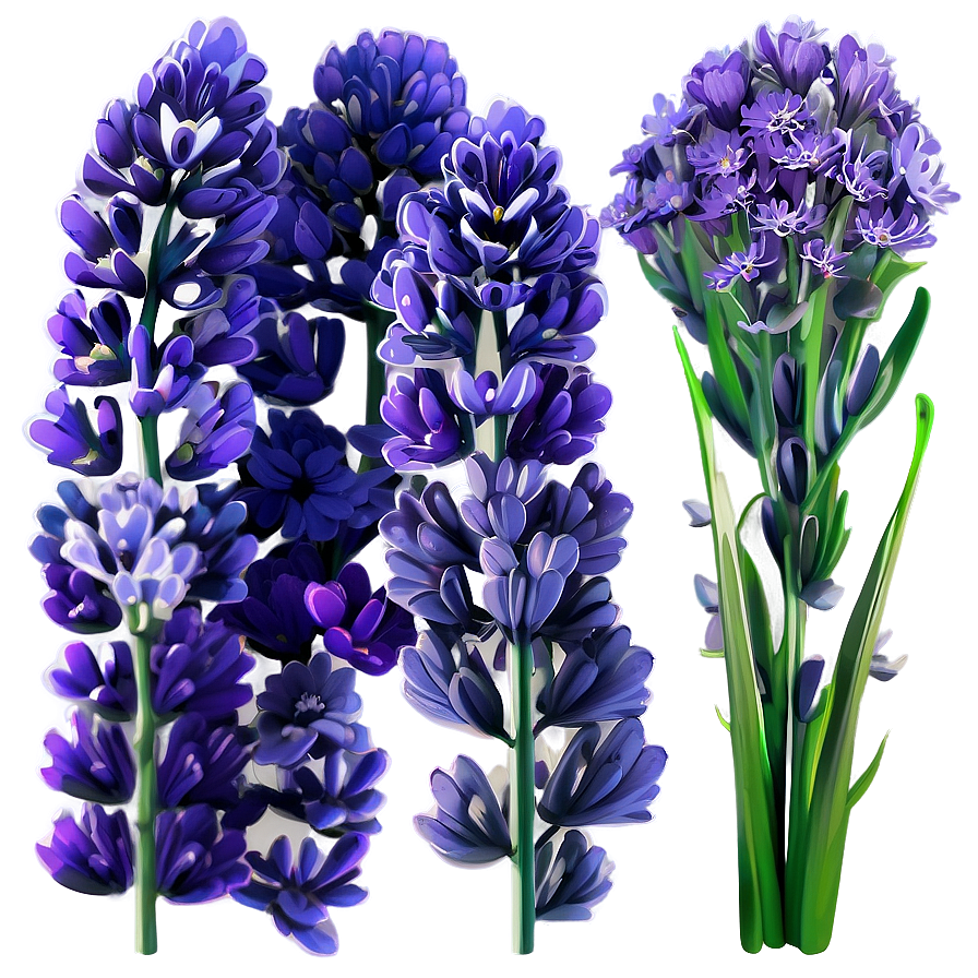 Serene Lavender Png 2 PNG