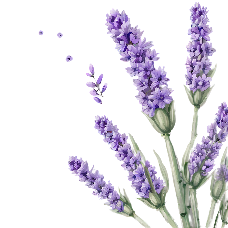 Serene Lavender Png 74 PNG