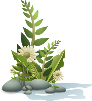 Serene Nature Vector Illustration PNG