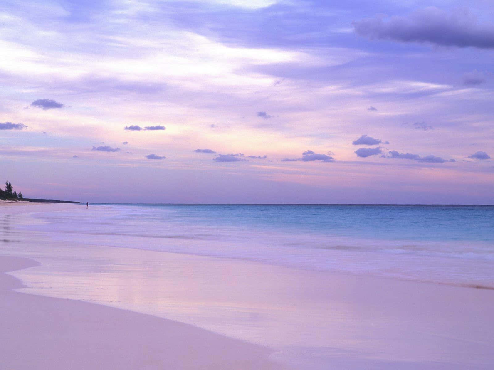 Serene Purple Sunset Beach Wallpaper