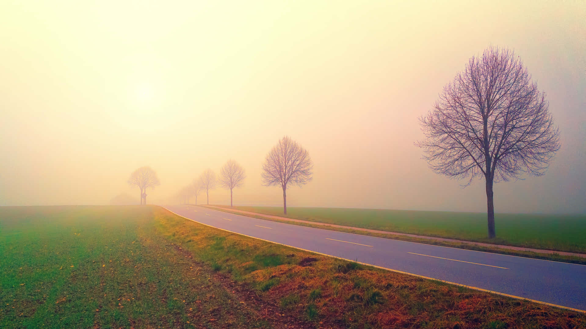 Serene Road With A Foggy Horizon Wallpaper