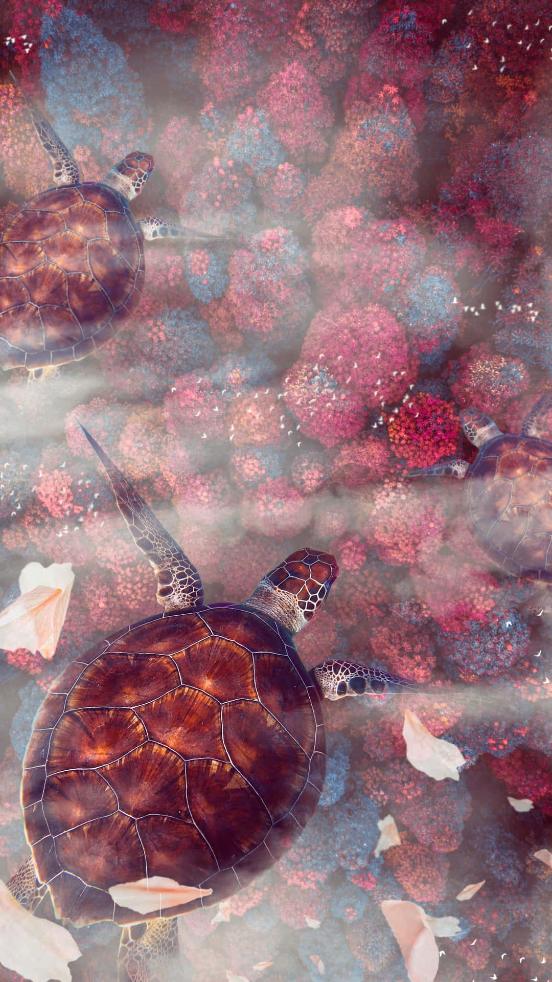 Serene_ Turtles_ Amidst_ Coral_ Reefs.jpg Wallpaper
