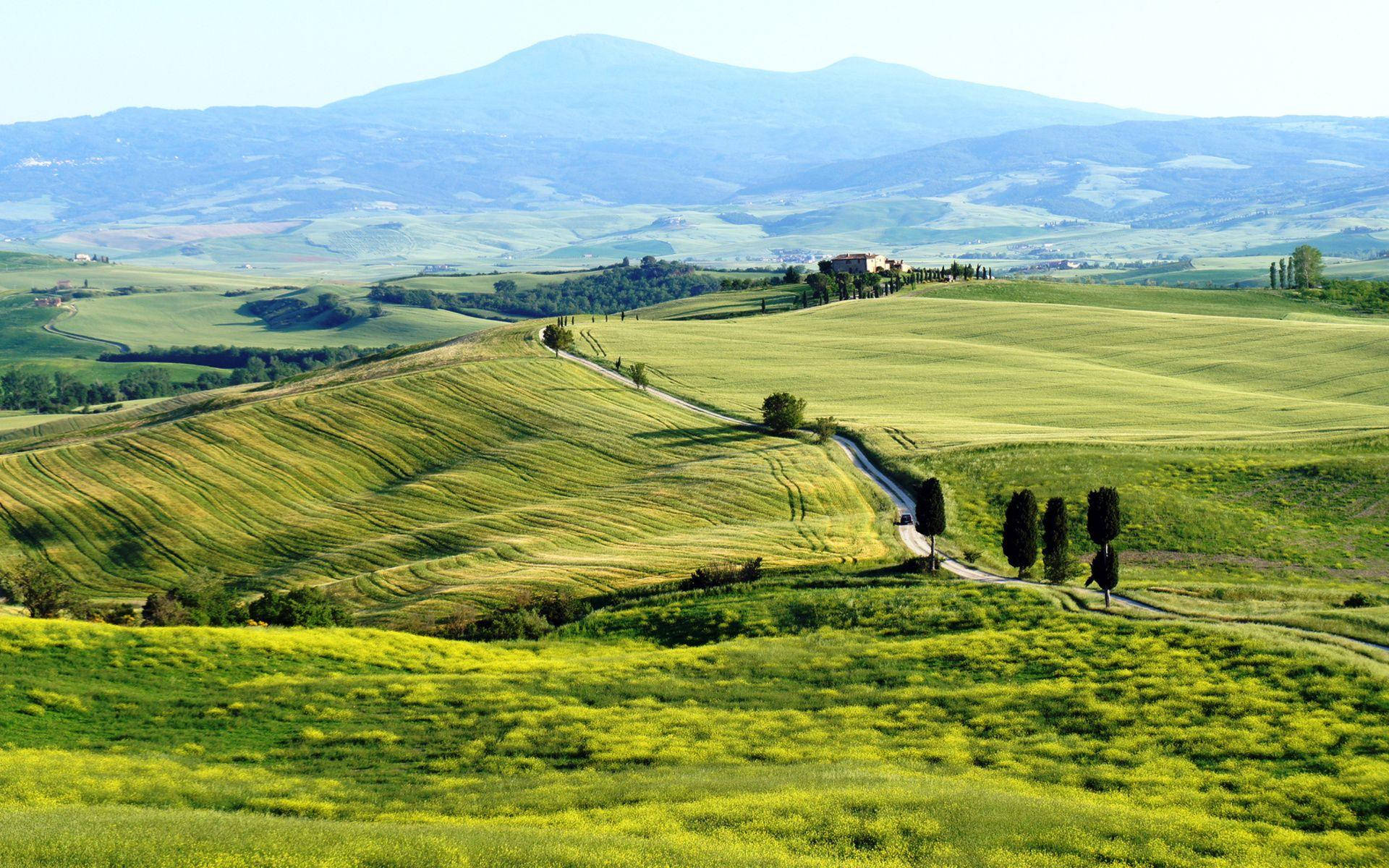 Serene Tuscany Landscape And Greenery Wallpaper