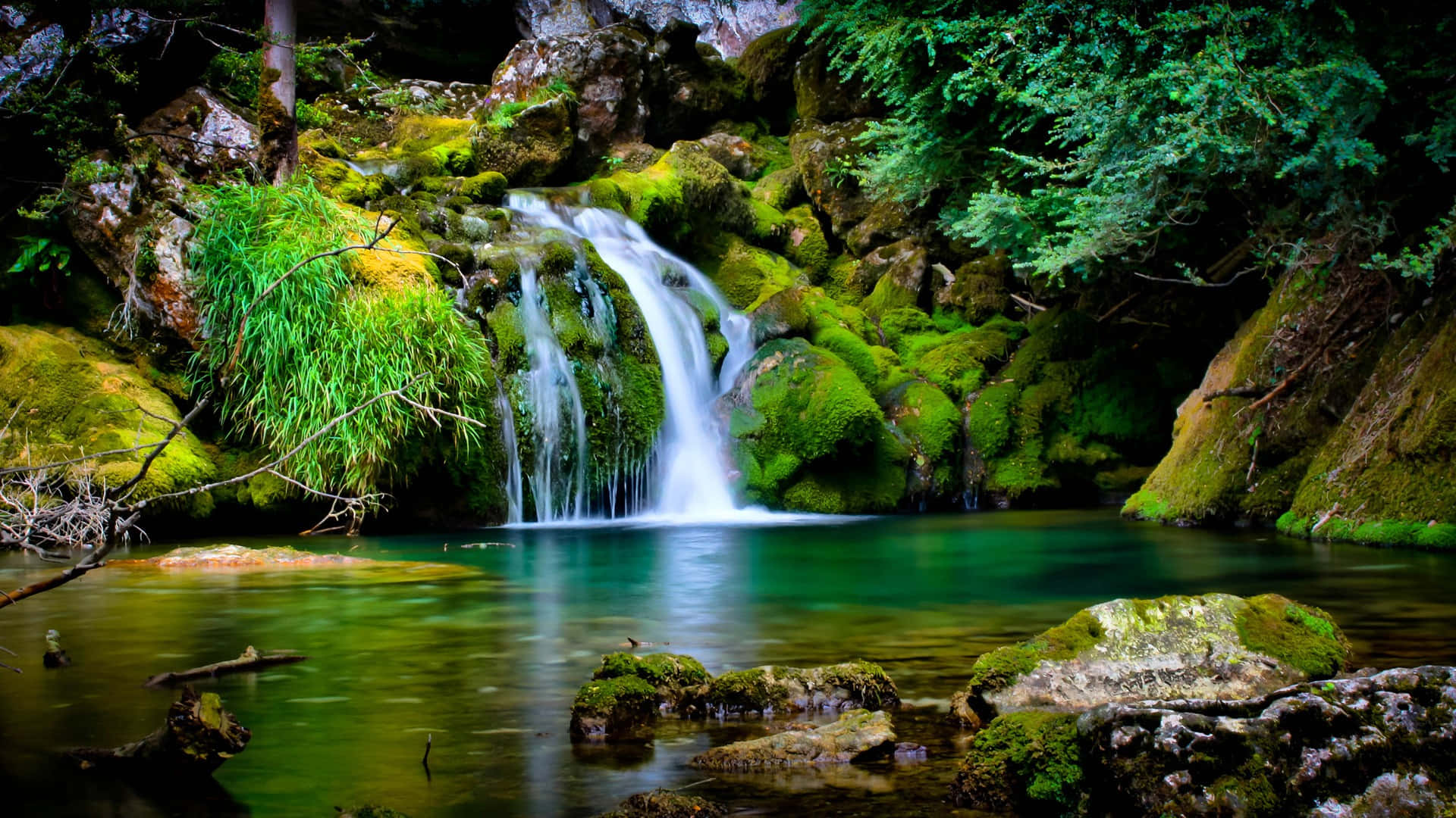 Serene Vercors Forest With Waterfall Wallpaper